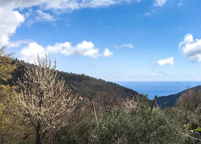 In Fraz Alpicella, Varaz Nyaraló *